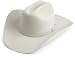 Stetson Men's Skyline Hat, Silver Grey, 7 1/4