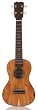 Cordoba 25CK Concert Ukulele