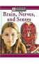 Brain, Nerves, and Senses (Understanding the Human Body)
