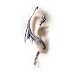 The Dragon's Lure (Stud) Alchemy Gothic Earring