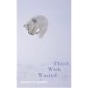 Third Wish Wasted