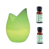 Diffuseur Arômes huiles essentielles + 2 flacons 15 mL - Vase en verre et variation de couleurs LED
