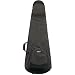 31Gb90kRgJL. SL75  Protec CONTEGO BASS GUITAR SILVER