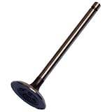 Beck Arnley  021-3381  Intake Valve by Beck Arnley