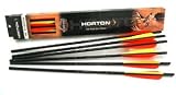 Horton AP050 Lightning Strike MX Aluminum Arrows