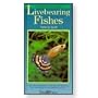 Fishkeepers Guide to Livebearing Fishes