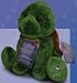 Shining Stars Turtle