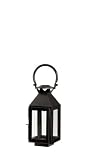 Black Carriage House Metal Lantern Terrarium
