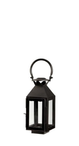 Black Carriage House Metal Lantern Terrarium