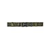 Olive Drab Marine Corp Style Quick Release Pistol Belt