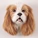 Cavalier King Charles Spaniel Brown & White Fur Magnet for Dog Lovers