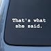THAT'S WHAT SHE SAID - The Office - Vinyl Car Decal Sticker #1676 | Vinyl Color: White
