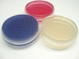 Nutrient Agar Plate 10/Pk