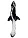 Ethical Pet Plush Skinneeez Skunk 24-Inch Dog Toy