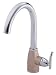Danze Sonora Single-Handle Kitchen Faucet Chrome with Satin Nickel Accents, #D404554CSN