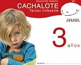 Cachalote 3 años. Tercer trimestre.