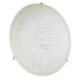 Eglo 89238A Mars-1, Frosted Roses, 1-Light Wall Ceiling Light Fixture by Eglo