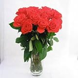 �I�����W�n�̉ԑ��@80�{�y���ԁz�y���j���z�L�O���z�y�a�����z�y�t�����[�M�t�g�z�y�o���z
