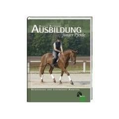 Ausbildung junger Pferde: Gew�hnung und schonendes Anreiten