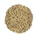 Red Clover Seed, Organic - 1 Lb. - Bulk