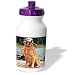 golden_retriever23golden retriever - Dogs Golden Retriever Golden Retriever Water Bottles