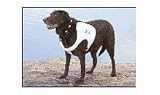 Texas Recreation 2512504 DOGGIE VEST 11 15 IN SMALL SUPER SOFT® DOGGIE VEST 31Gew8TuoEL. SL160 Texas Recreation 2512504 DOGGIE VEST 11 15 IN SMALL SUPER SOFT® DOGGIE VEST