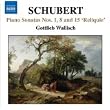 Schubert: Piano Sonatas Nos. 1, 8, 15, And In F Sharp Major And C Sharp Major (All Incomplete)