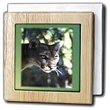 Florida Green Eyed Panther - 6 Inch Tile Napkin Holder