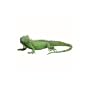 Jumbo Foam Iguana