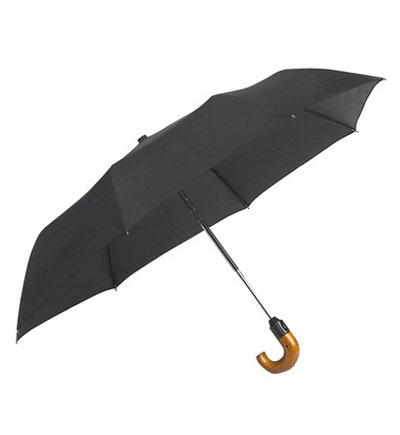 Automatic Umbrella