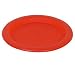 Plastic Camping Plate Flat