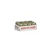 Kerr 1 Pint Canning Jars - Case = 12
