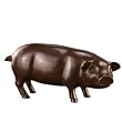 Shy Piggy Bank