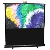 Draper 230162 72-Inch Piper HDTV Portable Screen