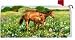 HORSE Pony meadow Farm REUSABLE Mailbox box COVER NEW