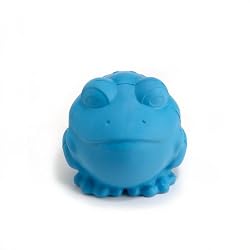 JW TOY DARWIN THE FROG MEDIUM