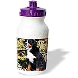 Dogs Bernese Mountain Dog - Bernese Mountain Dog - Water Bottles