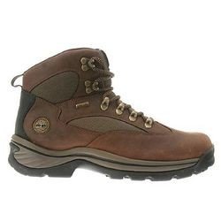Chocorua Trail Gtx 18193 Timberland