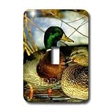 Birds - Mallard Duck - Light Switch Covers - single toggle switch