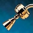 Sprite Showerhead Polished Brass Finish Filters Including Adjustable Showerhead - SLB-PB-A