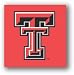 NCAA Texas Tech Red Raiders Seat Cushion/Tote