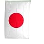 NationalCountryFlags Polyester 3-by-5-Feet Japanese Flag