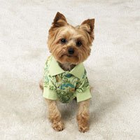 LARGE - Paisley Puppy Polo - Stylish Dog Shirt