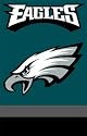 Philadelphia Eagles NFL Applique Banner Flag (44"x28")