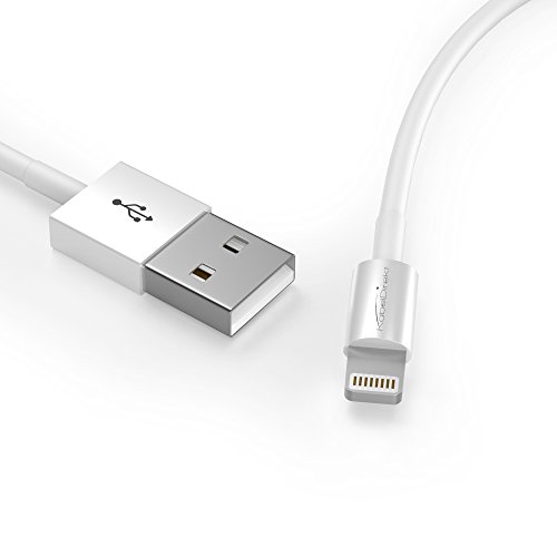 KabelDirekt (1 foot) ultraslim certified Lightning Cable (sync and charge) for Apple devices (iPhone 5, iPhone 6, iPads of the newest generation etc.) white - TOP Series