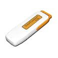 Kingston DataTraveler 16 GB USB 2.0 Flash Drive DTI/16GB
