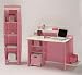 Legare Pink Kids Desk and Bookcase Group