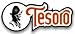 Tesoro Battery Door for the Cibola and Vaquero