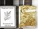 Wormwood Oil with Herbs
