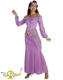 Disney Alladin Princess Jasmine Adult Costume 12-14